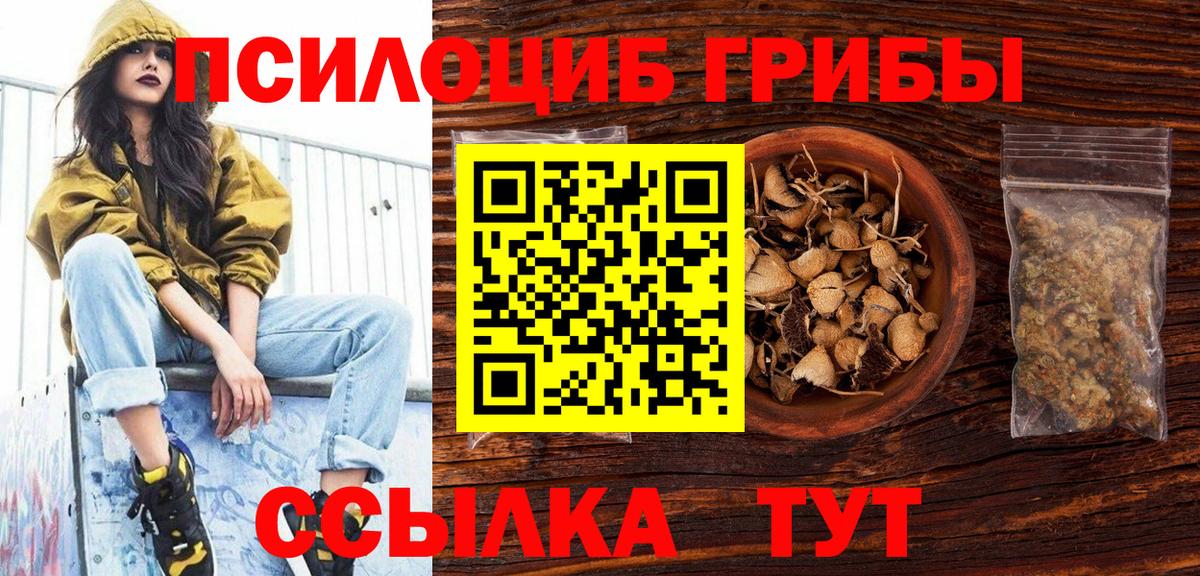 Псилоцибиновые грибы Magic Shrooms  Вход с VPN  наркошоп  Лосино-Петровский 